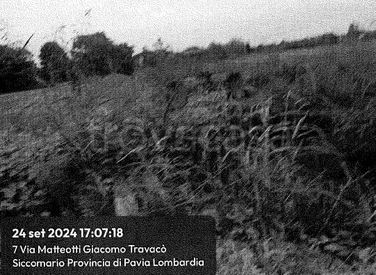 terreno agricolo in vendita a Travacò Siccomario