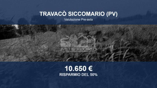 terreno agricolo in vendita a Travacò Siccomario in zona Colonne