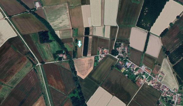 terreno agricolo in vendita a Travacò Siccomario