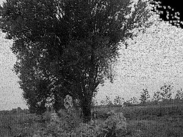 terreno agricolo in vendita a Travacò Siccomario in zona Mezzano