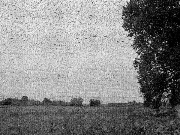 terreno agricolo in vendita a Travacò Siccomario in zona Mezzano