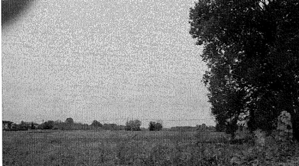 terreno agricolo in vendita a Travacò Siccomario in zona Mezzano