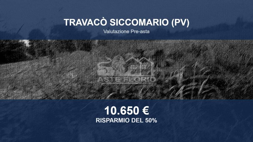 terreno agricolo in vendita a Travacò Siccomario in zona Colonne