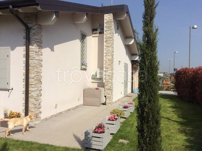 immagine annuncio 0 di 15