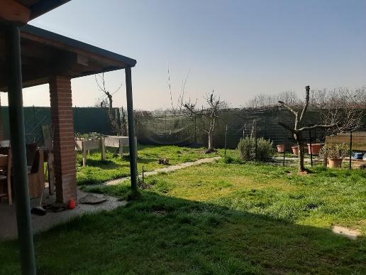 casa indipendente in vendita a Tromello