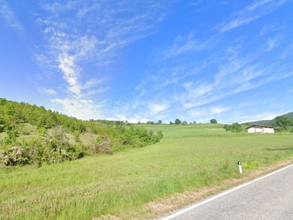 terreno agricolo in vendita a Val di Nizza in zona Molino Cassano