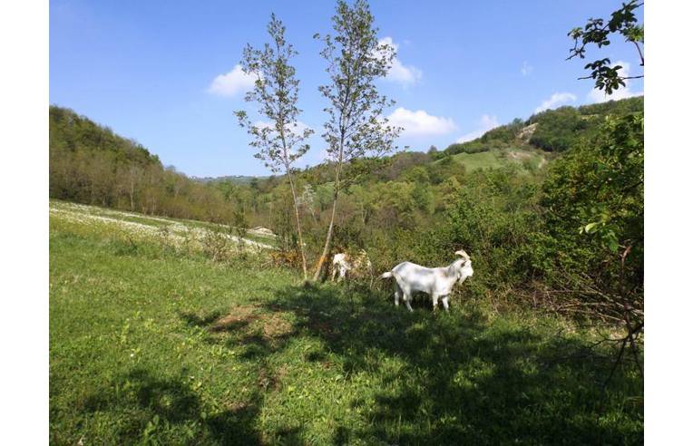casa indipendente in vendita a Varzi