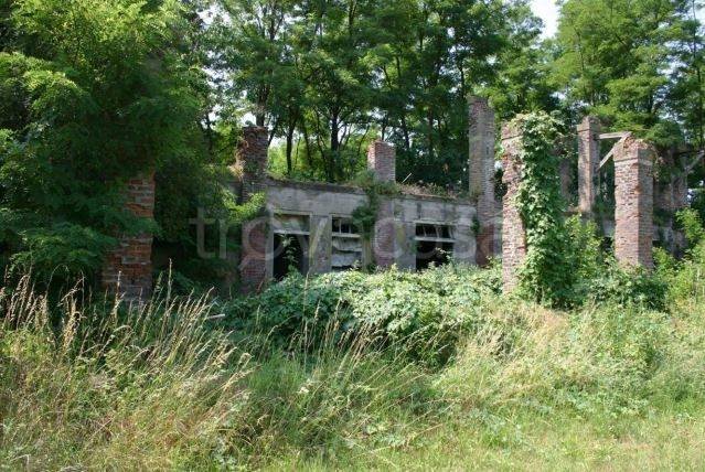 terreno agricolo in vendita a Vellezzo Bellini