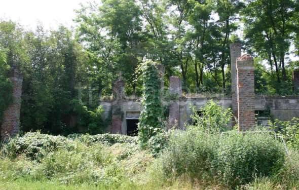 casa indipendente in vendita a Vellezzo Bellini