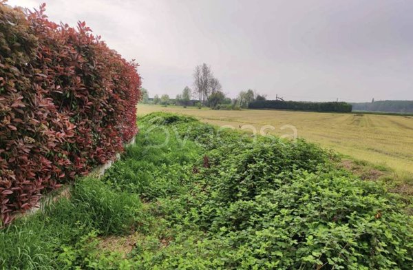 terreno agricolo in vendita a Vellezzo Bellini