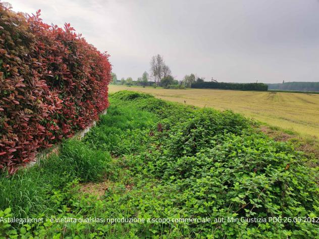 terreno edificabile in vendita a Vellezzo Bellini