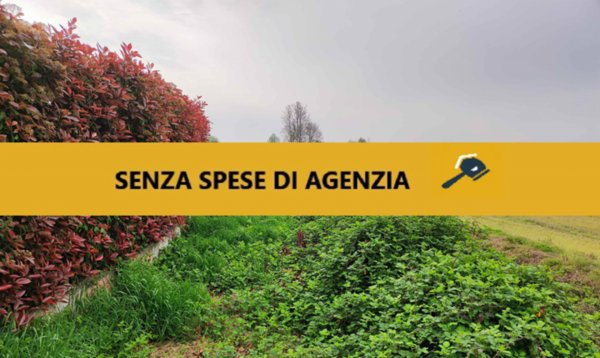 casale in vendita a Vellezzo Bellini