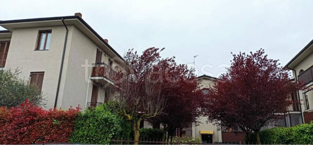 appartamento in vendita a Vidigulfo