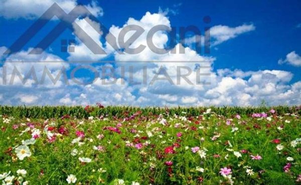 negozio in vendita a Vidigulfo