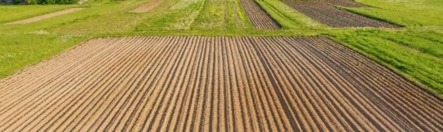 terreno agricolo in vendita a Vigevano