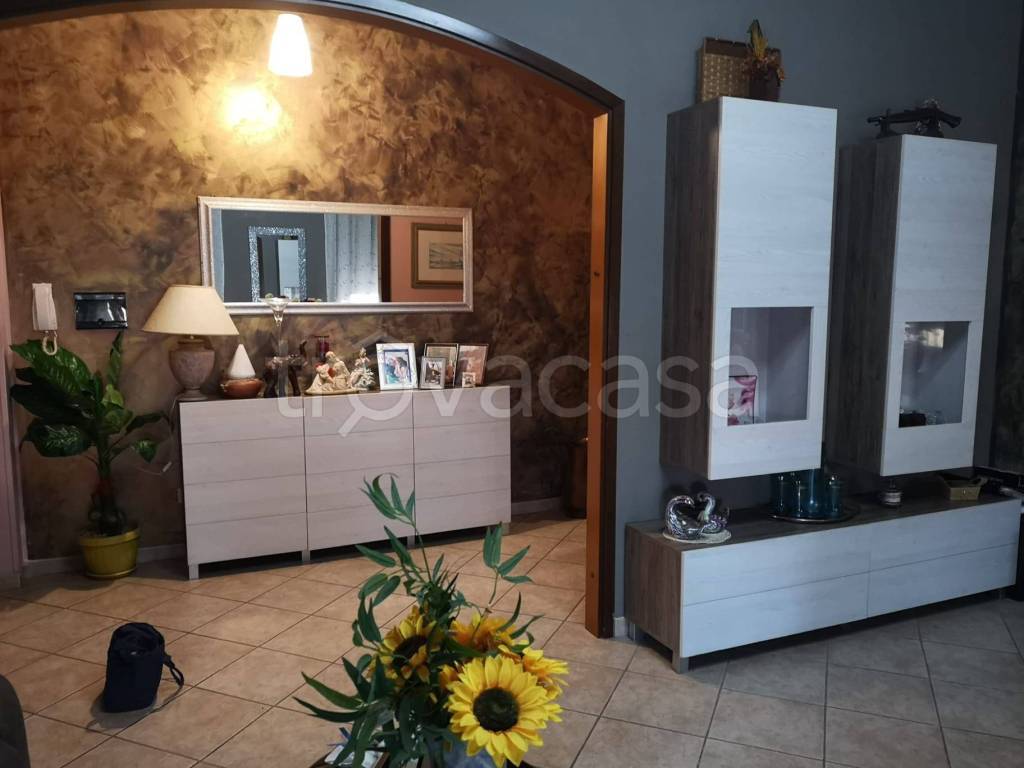 immagine annuncio 0 di 15