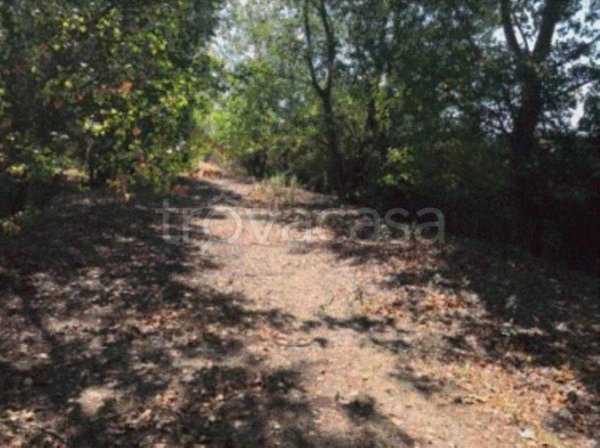 terreno agricolo in vendita a Vigevano