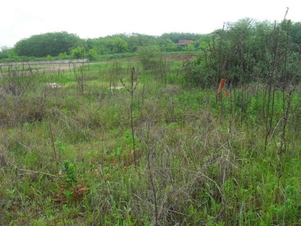 terreno agricolo in vendita a Vigevano in zona Morsella