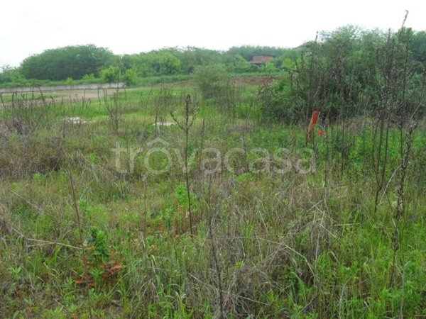 terreno agricolo in vendita a Vigevano in zona Morsella