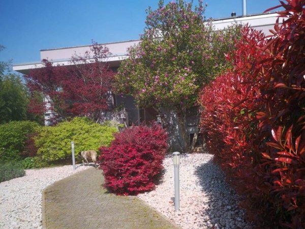 casa indipendente in vendita a Vigevano