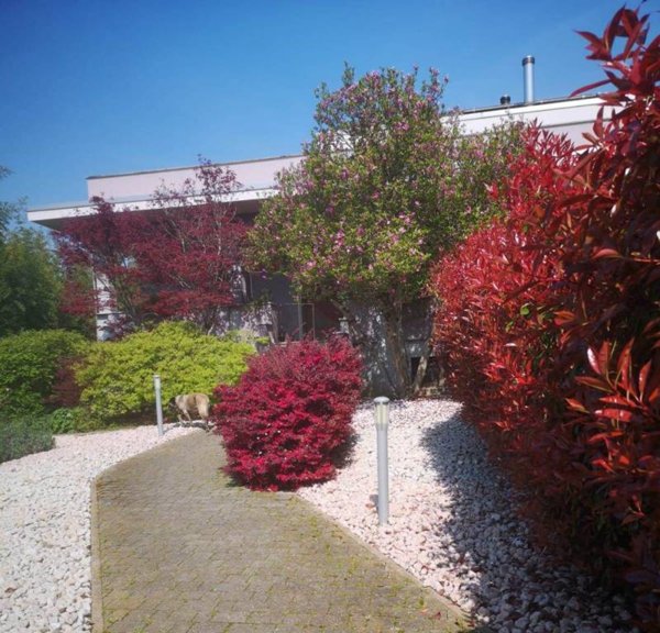 casa indipendente in vendita a Vigevano