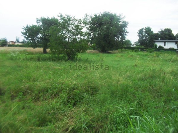 terreno edificabile in vendita a Vigevano in zona Buccella
