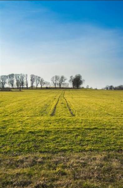 azienda agricola in vendita a Vigevano