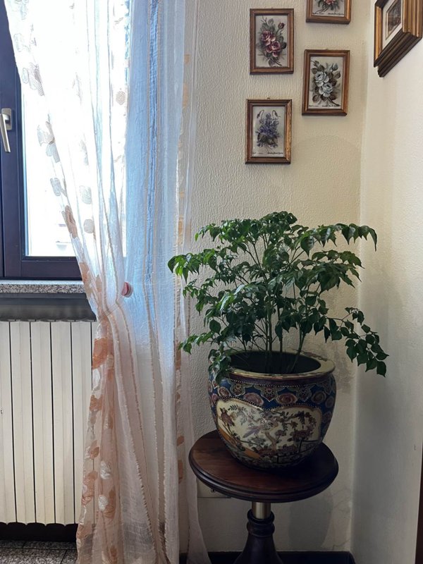 appartamento in vendita a Vigevano