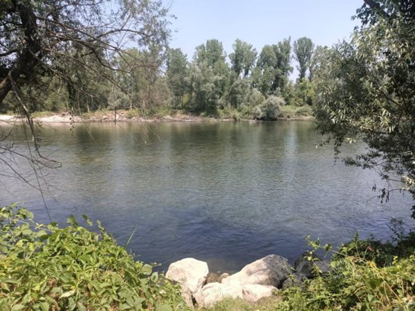 terreno edificabile in vendita a Vigevano in zona Buccella