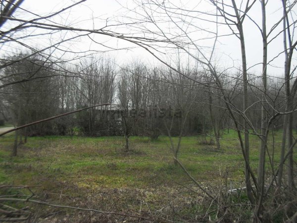 terreno agricolo in vendita a Vigevano