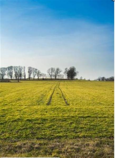 azienda agricola in vendita a Vigevano