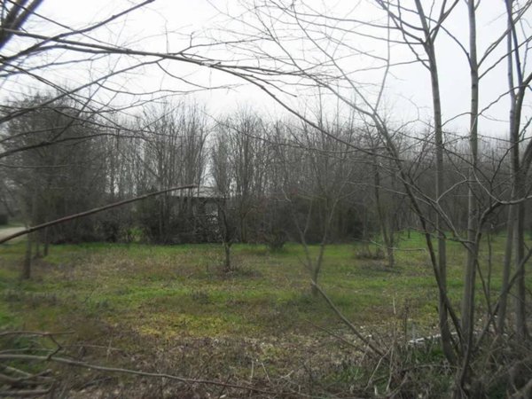 terreno agricolo in vendita a Vigevano