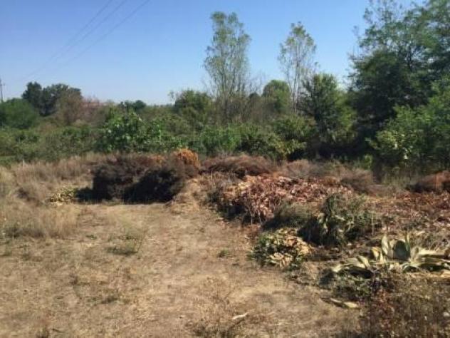 terreno agricolo in vendita a Vigevano