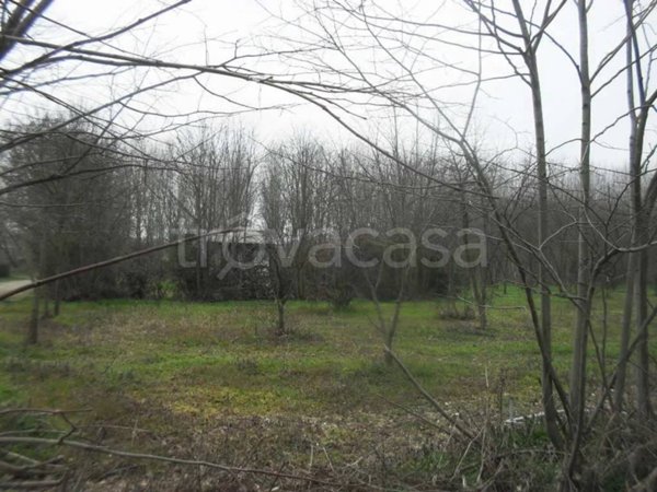 terreno agricolo in vendita a Vigevano