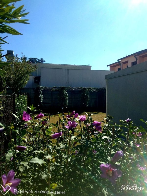 appartamento in vendita a Vigevano