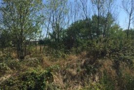 terreno edificabile in vendita a Vigevano