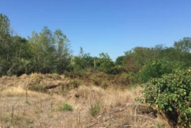 terreno edificabile in vendita a Vigevano