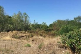 terreno edificabile in vendita a Vigevano