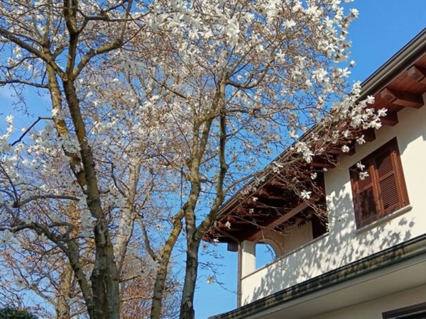 casa indipendente in vendita a Vigevano