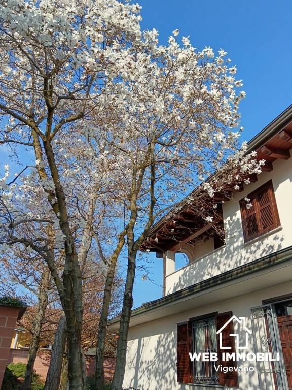 casa indipendente in vendita a Vigevano