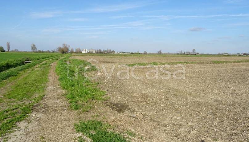appartamento in vendita a Vigevano