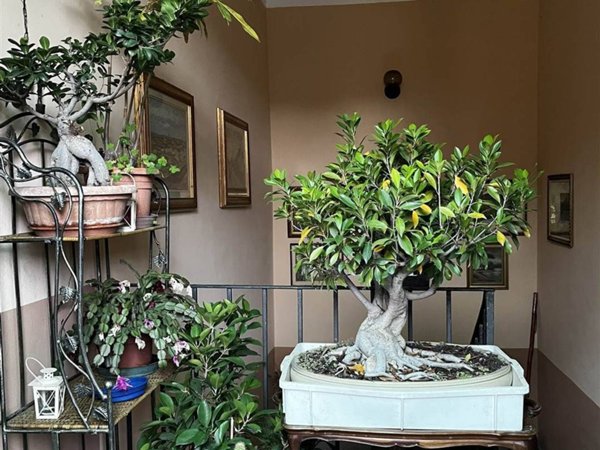 appartamento in vendita a Vigevano