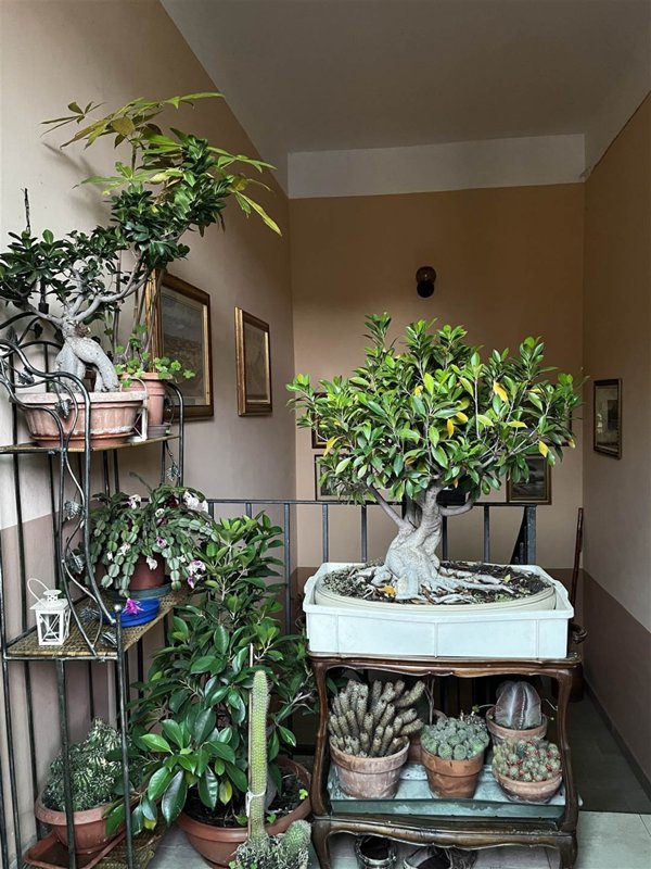 appartamento in vendita a Vigevano