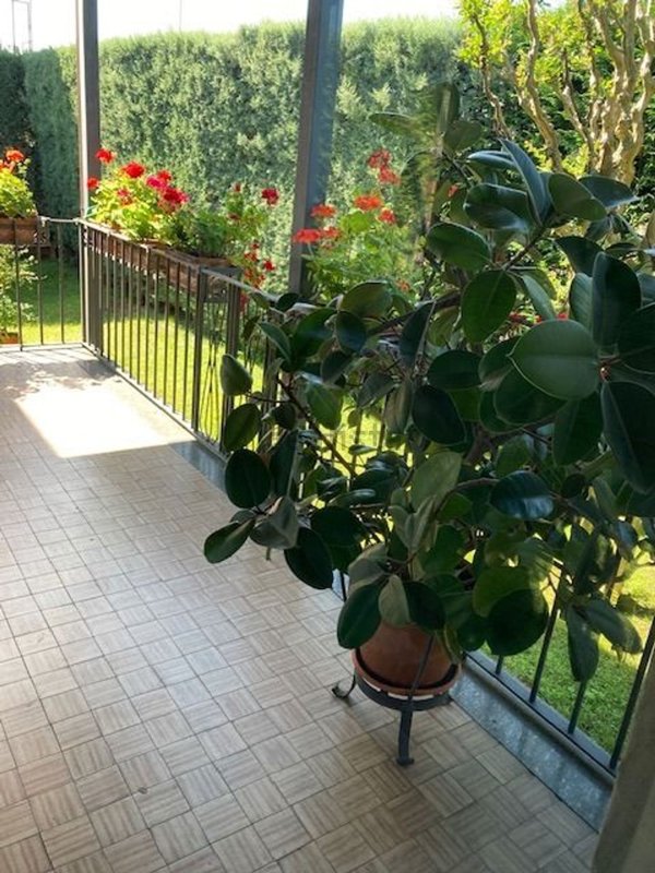 casa indipendente in vendita a Vigevano
