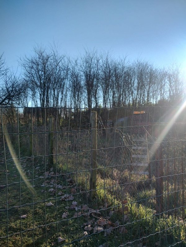 terreno in vendita a Vigevano