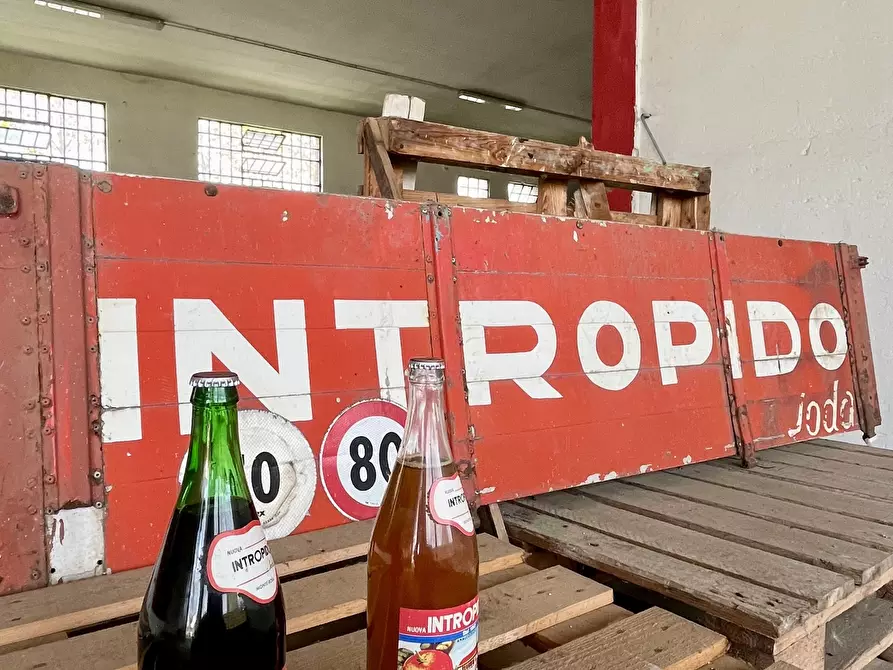 casa indipendente in vendita a Villanterio