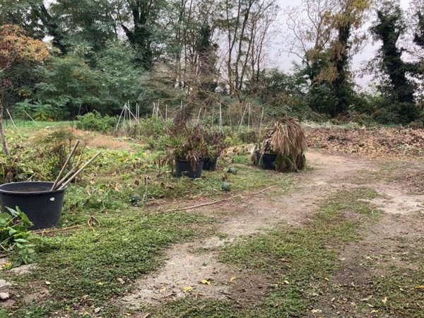 terreno agricolo in vendita a Villanterio in zona Bolognola
