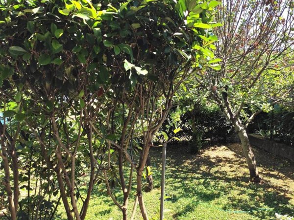 casa indipendente in vendita a Vistarino