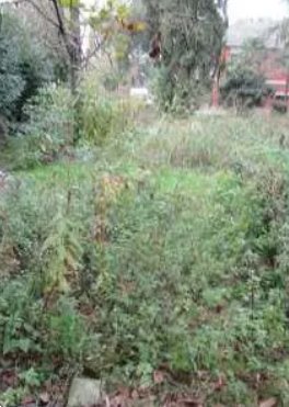 terreno agricolo in vendita a Vistarino