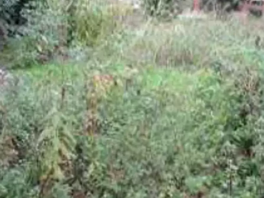 terreno agricolo in vendita a Vistarino